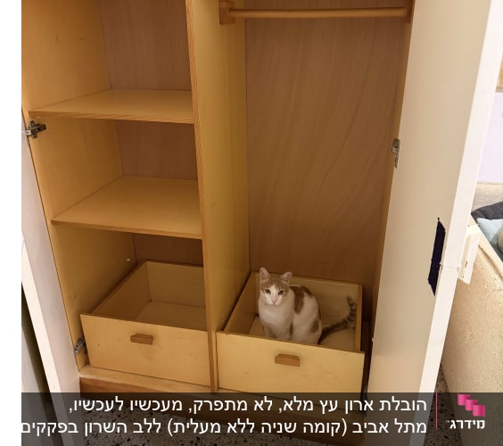 חתול יושב במגירת ארון פתוח